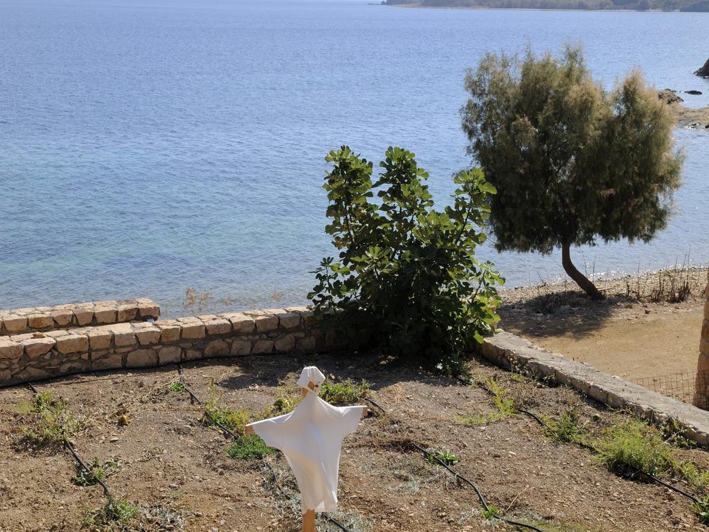 Onar Patmos Daire Grikos Bay  Dış mekan fotoğraf